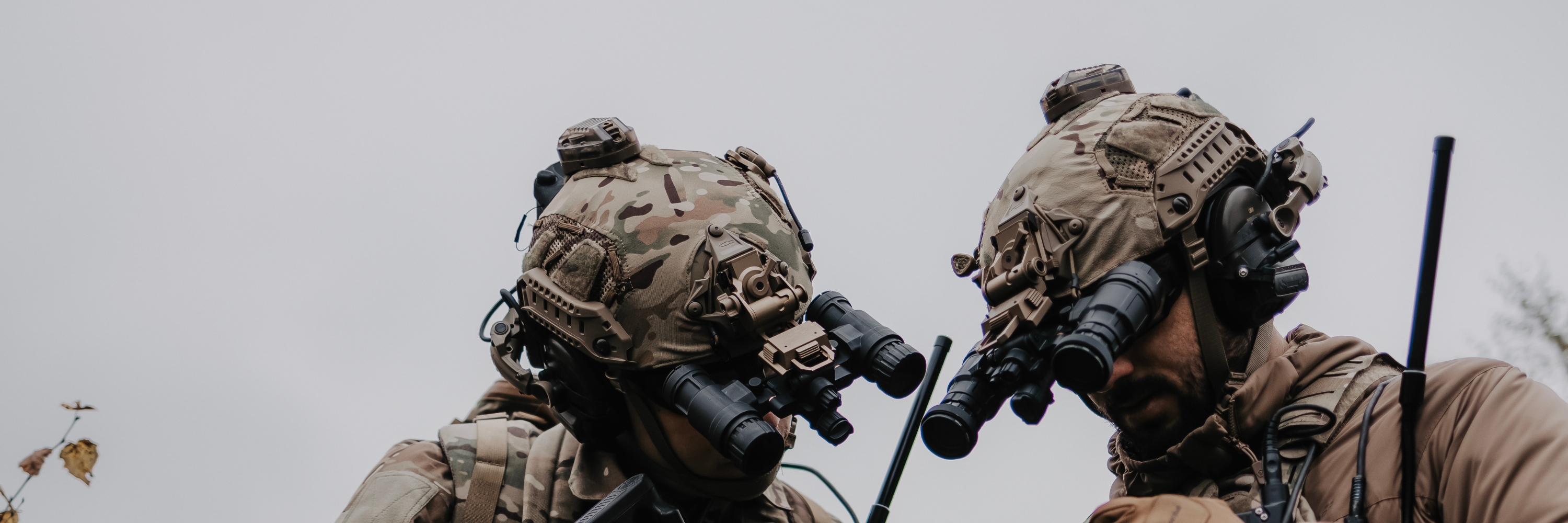 Sights & Optics