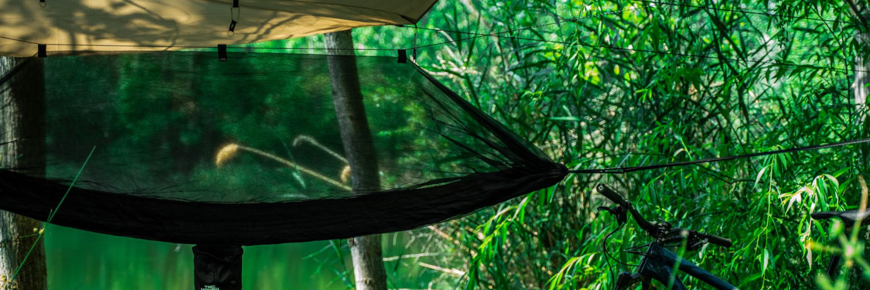 Hammocks