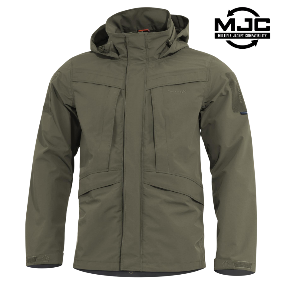 OLIVE BROWN